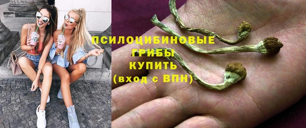 мяу мяу кристалл Иннополис